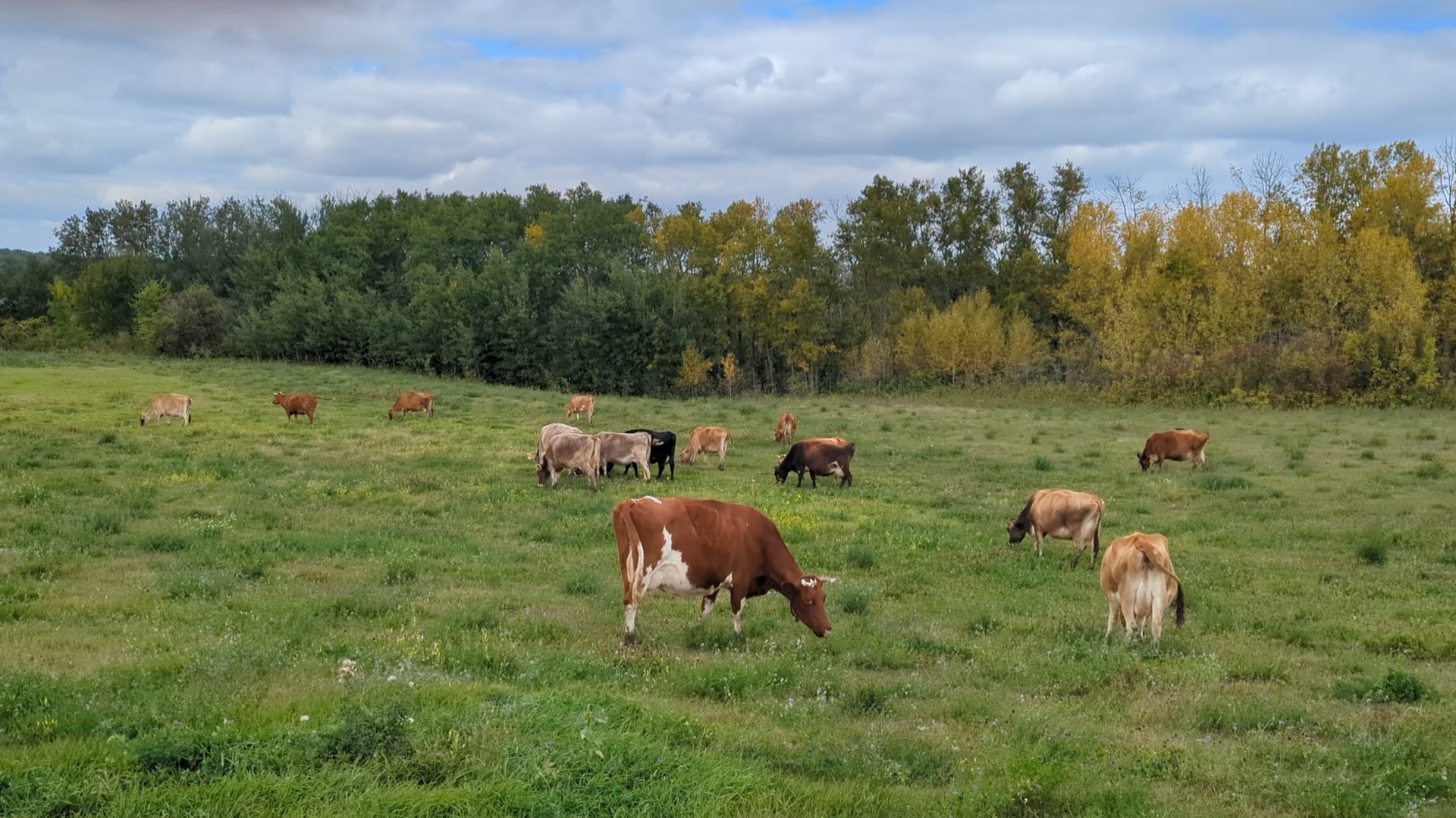 Bartlett Farms